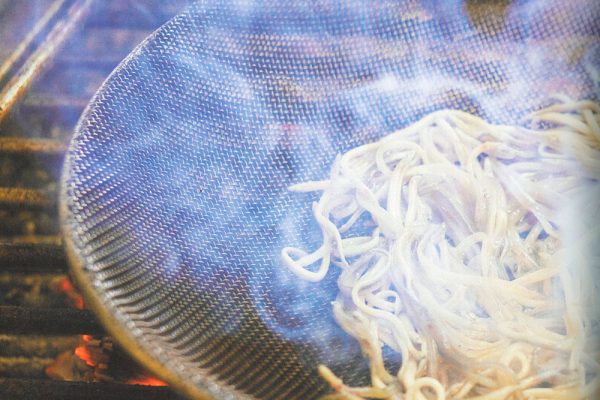 GULAS-1